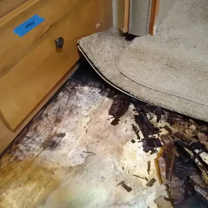 Wood Floor Water Damage in Madison, GA